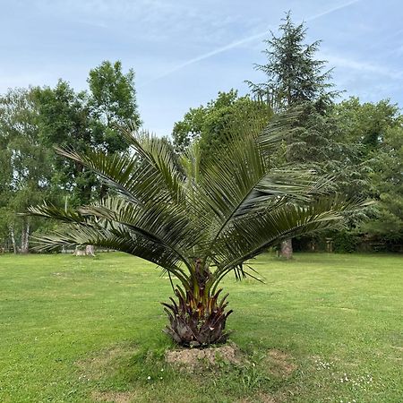 Appartement Familial Au Bord De La Marne, Jardin 8000M2, Piscine, Court De Tennis, Terrasse, Parking Gratuit Proche Disneyland Isles-les-Villenoy Exterior photo